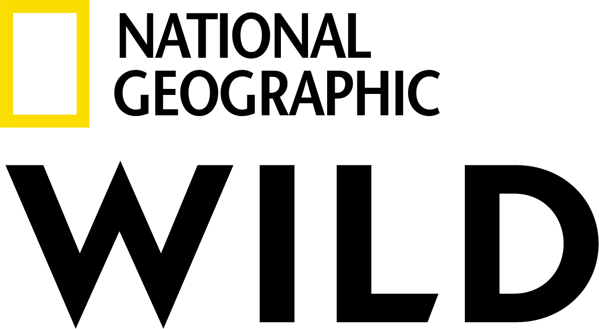 NGW.png