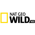 NATIONAL GEOGRAPHIC WILD - Egyéb